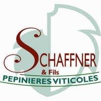 Pépinières viticoles Schaffner